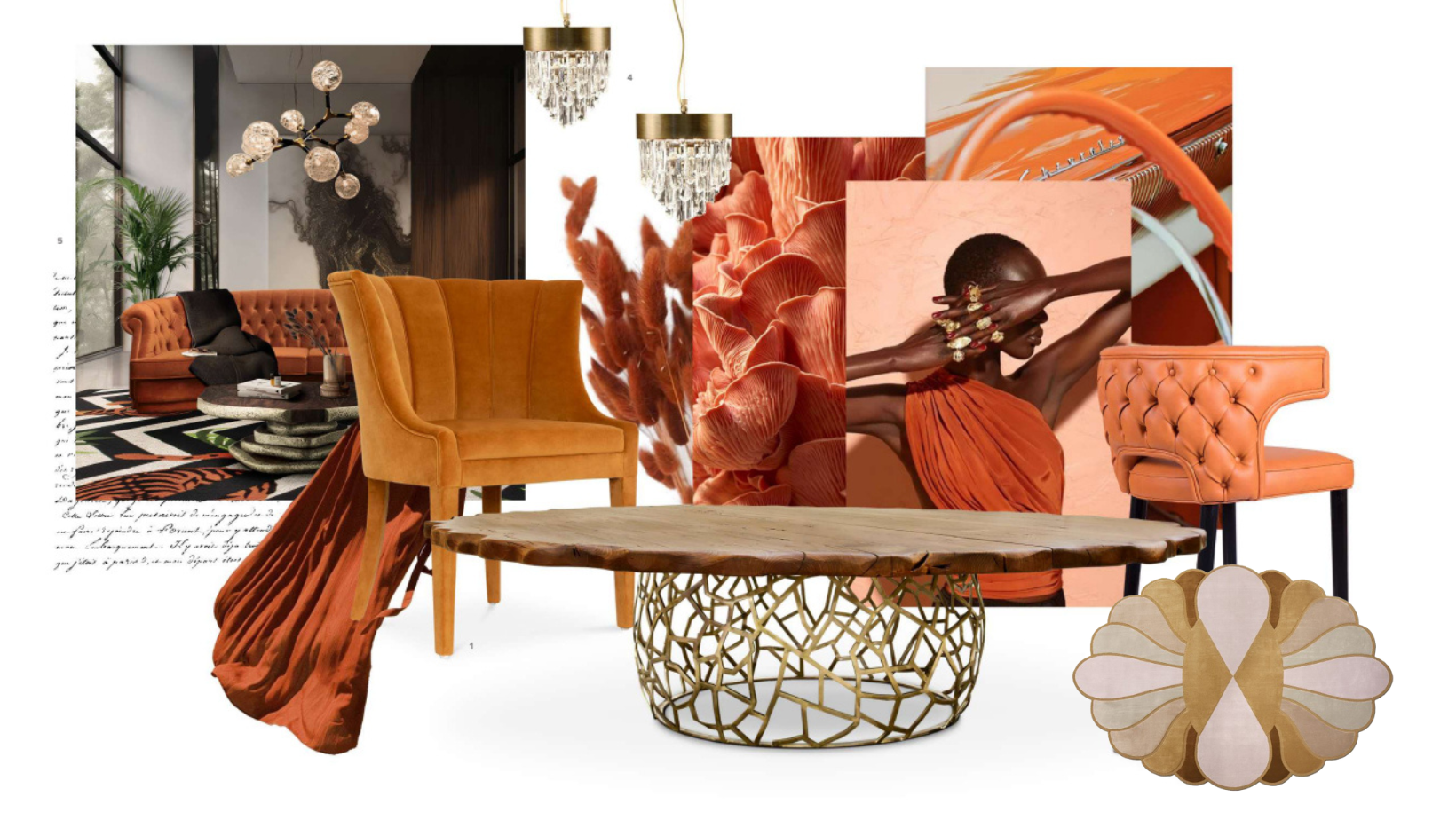 Uncover the Artistry of Apricot Crush With Unique and Contemporary Rugs