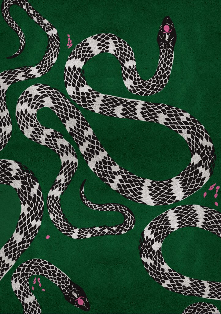 snake-Irreverent-Rug-Designs