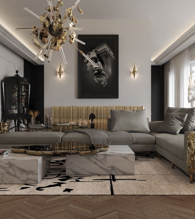 carpet ideas: modern living room with sleek area rug
